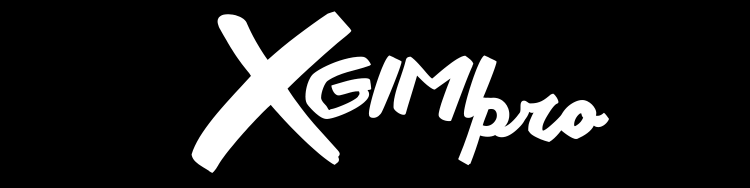 XGIMI PRO